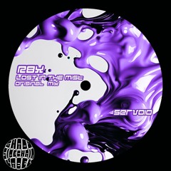 R8X - Lost In The Mist (Original Mix) (SERV010) (Shady SideChain Label) FREE DL