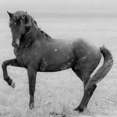 Siyelele Mama RMX.mp3