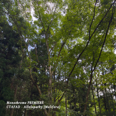 𝐏𝐑𝐄𝐌𝐈𝐄𝐑𝐄 : CTAFAD - Allelopathy [Melifera]