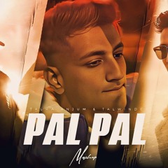 Pal Pal X Talwiinder X Talha Anjum - Mega Mashup | Pal Pal X Haseen | Afusic | Pal Pal Jeena Muhal