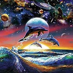 Diving With Dolphines