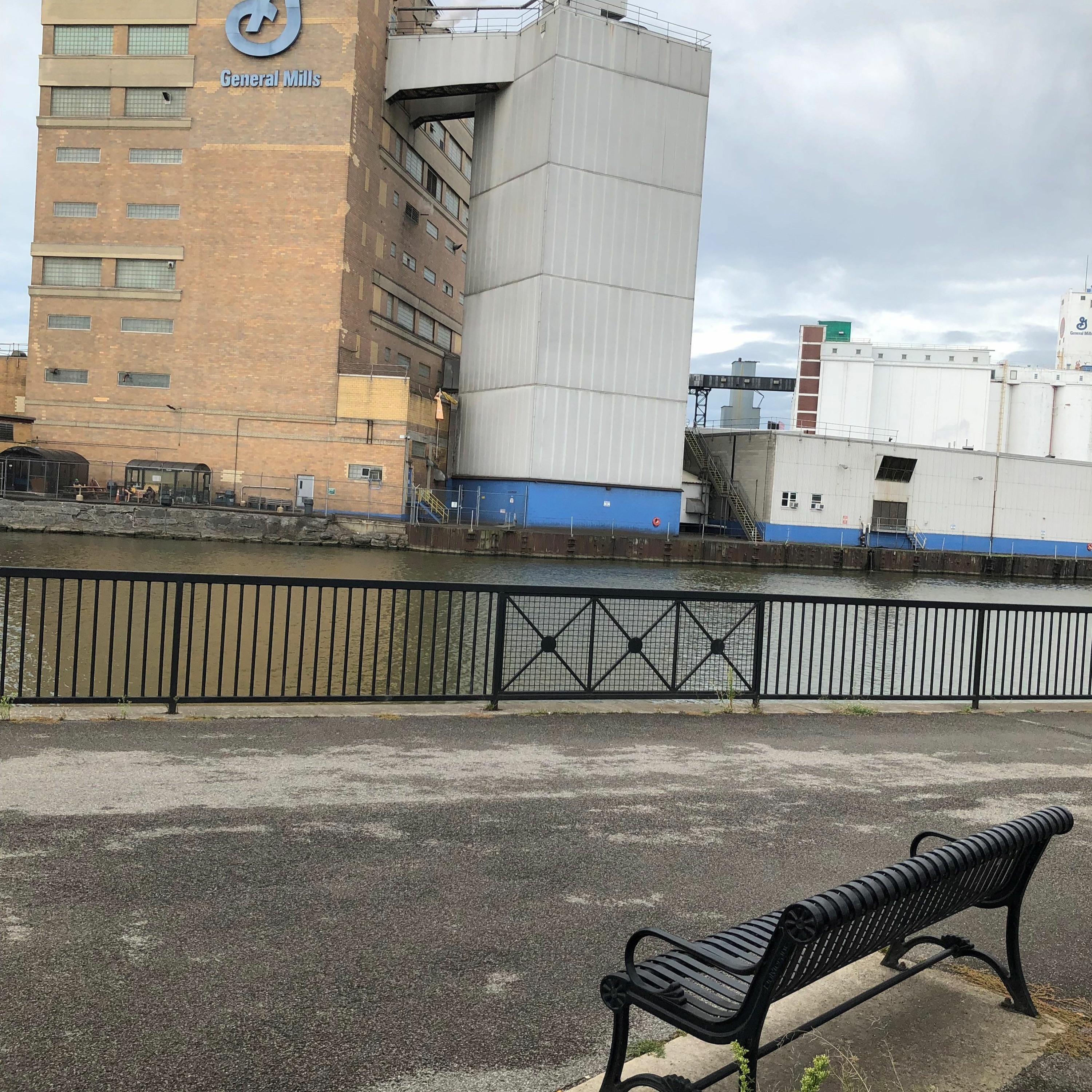 cover of episode Cancer Run Near the General Mills Factory