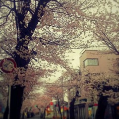 Fragment Of Spring Memory