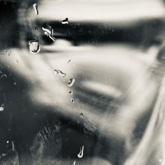 =494425-251521147109