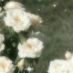flowers of may