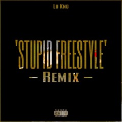 Lu Kng - Stupid Freestyle Remix