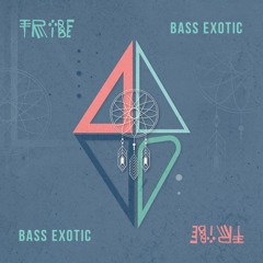 Tribe presented by Soul Work  feat. Bass Exotic  12.22.20
