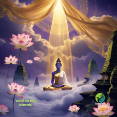 veil of the real-vibe mix