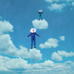 Did Don't Do (feat. Cosmo Sheldrake)