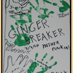 Ginger Breaker - Fly like an Eagle (Steve Miller Band)