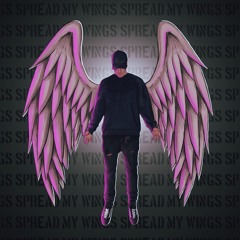 Spread My Wings