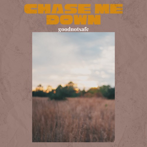Chase me down (ft. goodnotsafe)