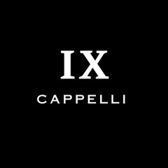 MUSIK IX (MIXED BY CAPPELLI)