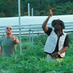 Collie Buddz x Busy Signal – Spark Up (Blazinlox Bootleg DnB Remix ft. Conf1kt)