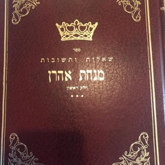 MINCHAT AHARON -HALACHA Q&A