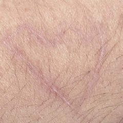 THE DEVILS PLAYGROUND