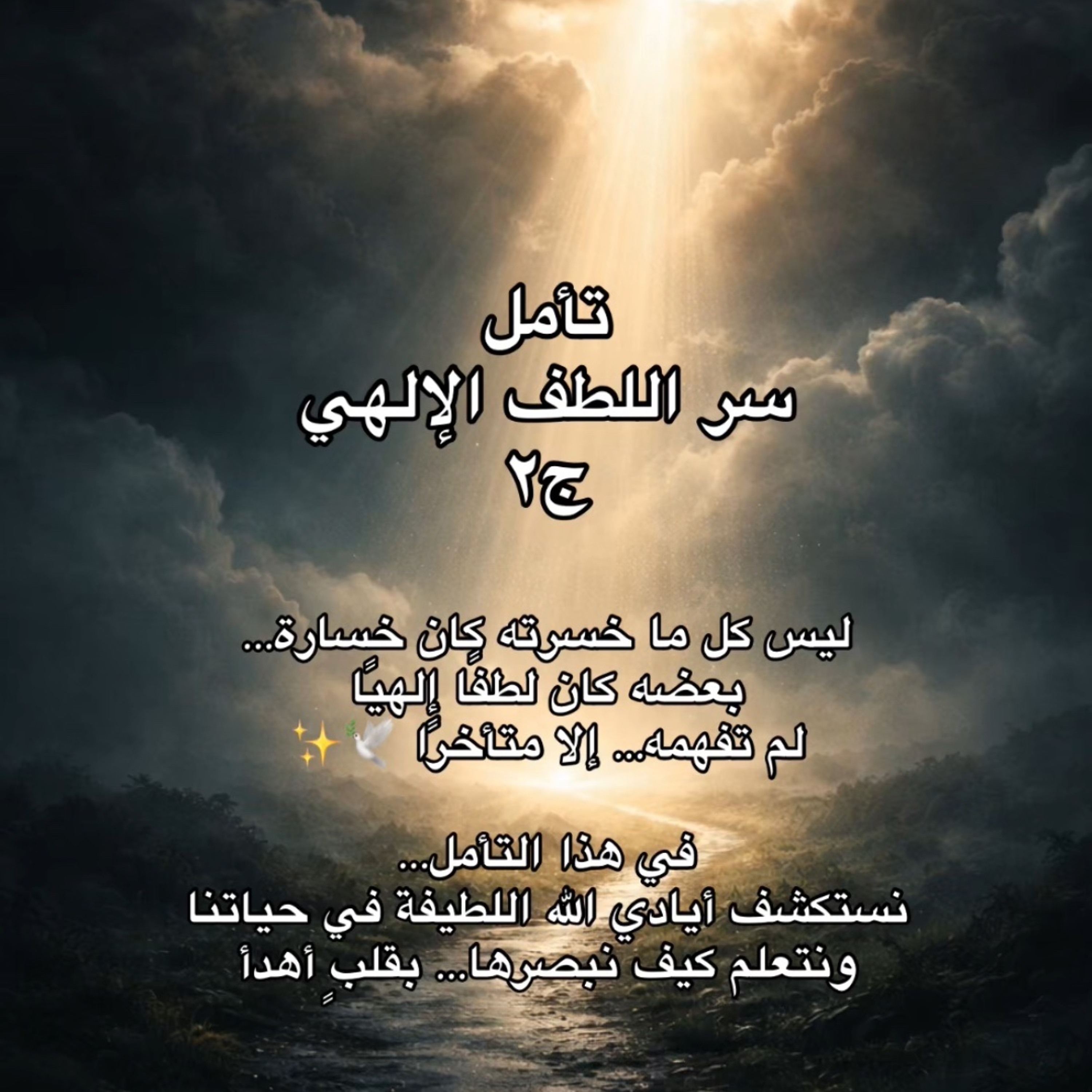 تأمل سر اللطف الإلهي ج٢ ✨