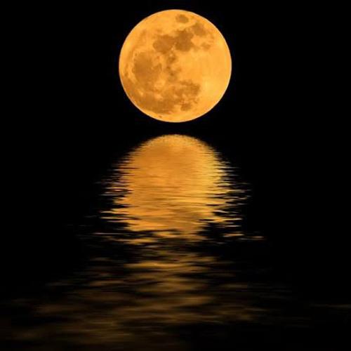 Metin Işık - Aydan Güzel