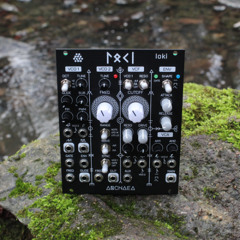Loki - Architecture - Remote Vision