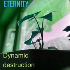 Eternity Dynamic Destruction