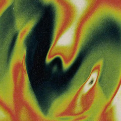 l'obbiettivo non è farcela