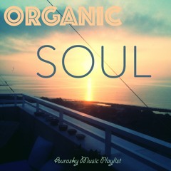 Organic Soul⎟Aurasky Music