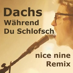 Dachs - Während Du Schlofsch (nice nine Remix)