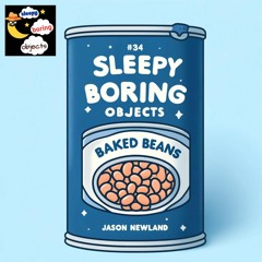 (no music) #34 Baked Beans SLEEPY Boring Objects (Jason Newland) (17th January 2023)