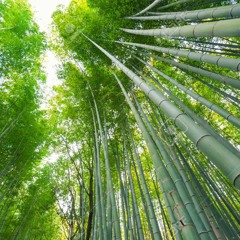 Yisan OST Theme - Cover - Piano , Recorder Alto