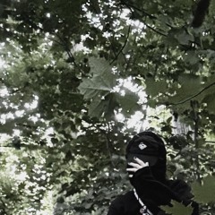 LORD DISTORTION
