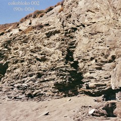 cokobloko 002 (90s-00s vinyl)