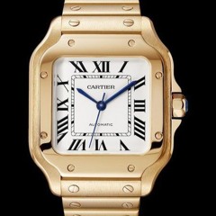 Cartier Santos