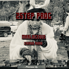 Marlaceous - 2Step Prog [GUEST MIX]