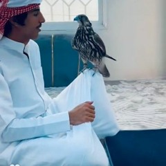 كان باقي لي ف مهجتك | مسعود بن شعفول