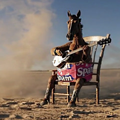 Last Rodeo
