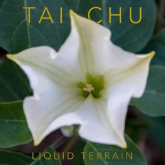 Tai Chu (The Great Accumulation)