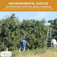 Environmental Justice: An Interview with Dr. Bindu Panikkar