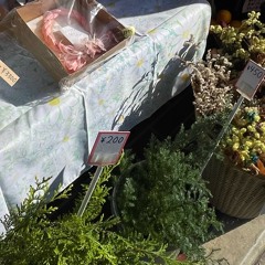 サーカスナイト カバー