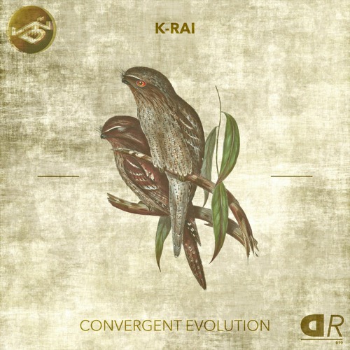 K-Rai - Convergent Evolution [Devine Records DR010]