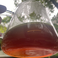 Còn Tuổi Nào Cho Em