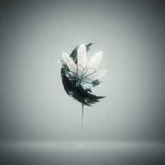 Nordic-Japanese Abstronica