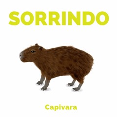 Bebê / Capivara