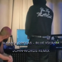 Hawk X Orfeas - Blue Iguana (John Words Remix)