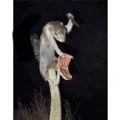 this pain igot5yrsleft