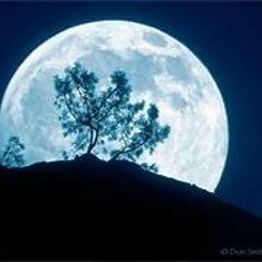 Full Moon Rising