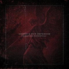 Gemüt & Sub Imperium - Untapped Potential