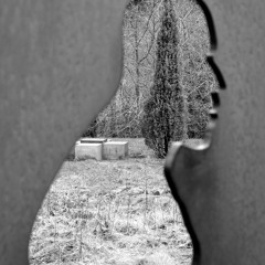 Cro-Magnon Tones (first draft)