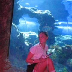 sunblock v7 (2024) free download