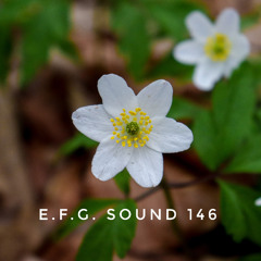 E.F.G. Sound 146