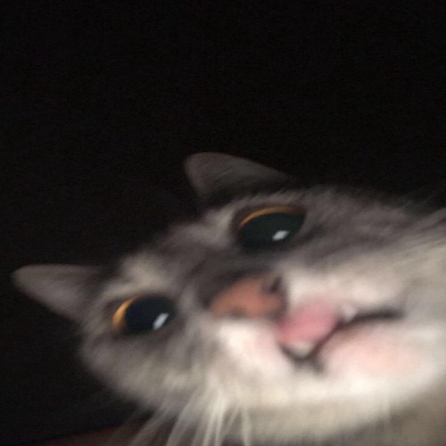 oopsiloveuagain (prod. ilyali/jjustd1e)